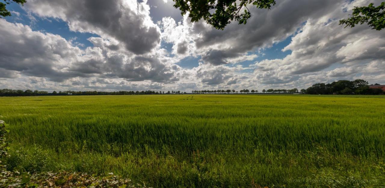 Appartementen Buitenwedde Westerwolde Exteriör bild
